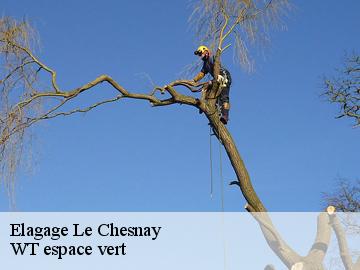 Elagage  le-chesnay-78150 WT espace vert 