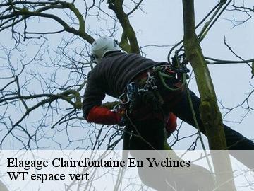 Elagage  clairefontaine-en-yvelines-78120 WT espace vert 