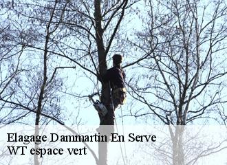 Elagage  dammartin-en-serve-78111 WT espace vert 