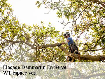 Elagage  dammartin-en-serve-78111 WT espace vert 