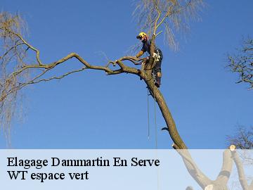 Elagage  dammartin-en-serve-78111 WT espace vert 