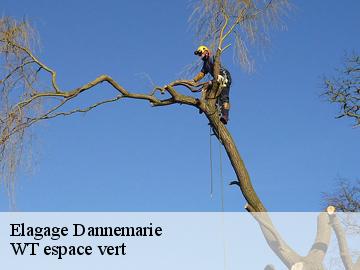 Elagage  dannemarie-78550 WT espace vert 