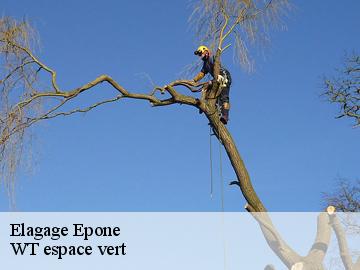 Elagage  epone-78680 WT espace vert 