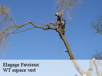 Elagage  favrieux-78200 WT espace vert 