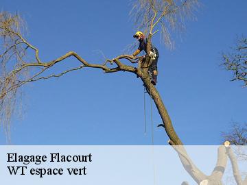 Elagage  flacourt-78200 WT espace vert 