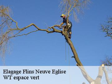 Elagage  flins-neuve-eglise-78790 WT espace vert 