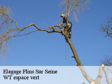 Elagage  flins-sur-seine-78410 WT espace vert 