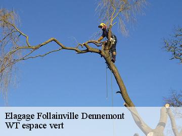 Elagage  follainville-dennemont-78520 WT espace vert 