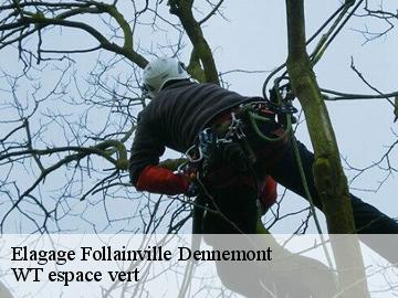 Elagage  follainville-dennemont-78520 WT espace vert 