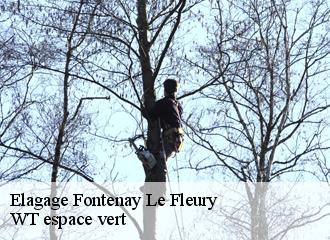 Elagage  fontenay-le-fleury-78330 WT espace vert 