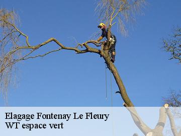 Elagage  fontenay-le-fleury-78330 WT espace vert 