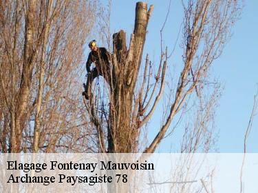 Elagage  fontenay-mauvoisin-78200 Archange Paysagiste 78