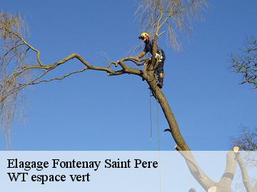 Elagage  fontenay-saint-pere-78440 WT espace vert 