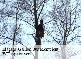 Elagage  gaillon-sur-montcient-78250 WT espace vert 