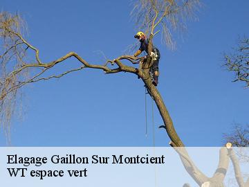 Elagage  gaillon-sur-montcient-78250 WT espace vert 