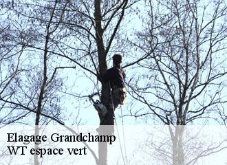 Elagage  grandchamp-78113 WT espace vert 