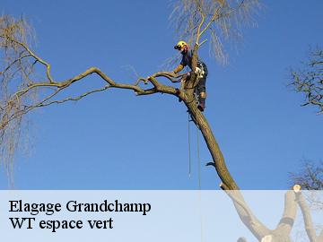 Elagage  grandchamp-78113 WT espace vert 