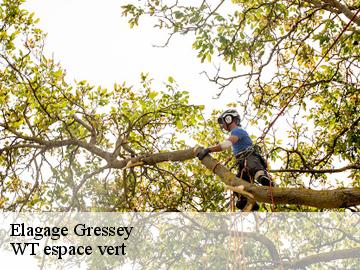 Elagage  gressey-78550 WT espace vert 