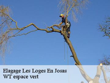 Elagage  les-loges-en-josas-78350 WT espace vert 