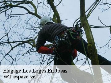 Elagage  les-loges-en-josas-78350 WT espace vert 