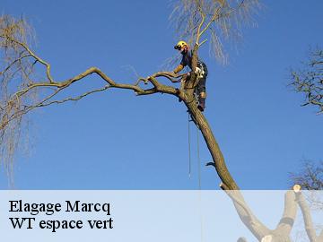 Elagage  marcq-78770 WT espace vert 