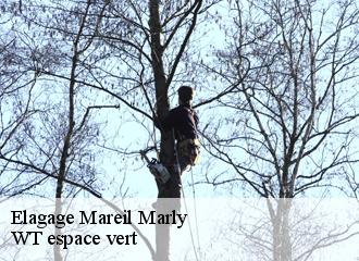 Elagage  mareil-marly-78750 WT espace vert 