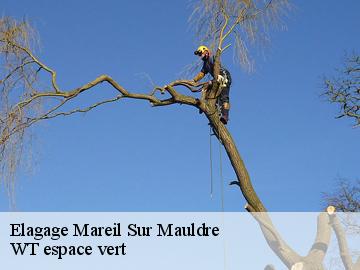 Elagage  mareil-sur-mauldre-78124 WT espace vert 