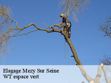 Elagage  mezy-sur-seine-78250 WT espace vert 