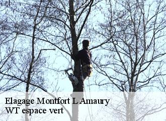 Elagage  montfort-l-amaury-78490 WT espace vert 