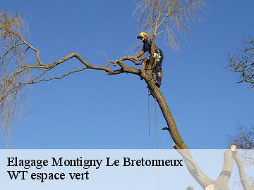 Elagage  montigny-le-bretonneux-78180 WT espace vert 