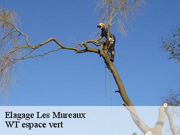 Elagage  les-mureaux-78130 WT espace vert 