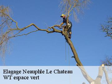 Elagage  neauphle-le-chateau-78640 WT espace vert 