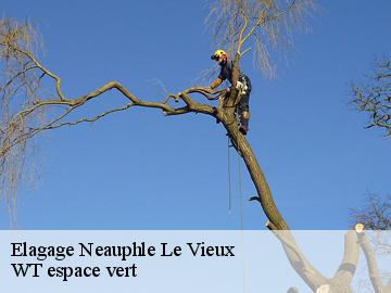 Elagage  neauphle-le-vieux-78640 WT espace vert 