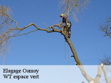 Elagage  osmoy-78910 WT espace vert 