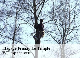 Elagage  prunay-le-temple-78910 WT espace vert 