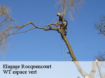 Elagage  rocquencourt-78150 WT espace vert 