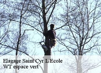 Elagage  saint-cyr-l-ecole-78210 WT espace vert 