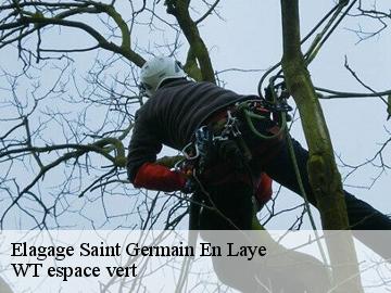 Elagage  saint-germain-en-laye-78100 WT espace vert 