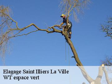 Elagage  saint-illiers-la-ville-78980 WT espace vert 