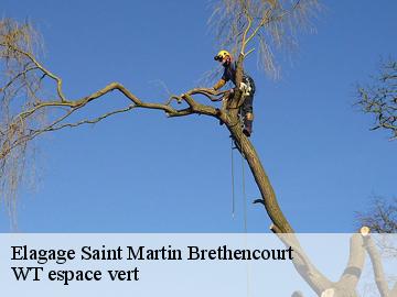 Elagage  saint-martin-brethencourt-78660 WT espace vert 