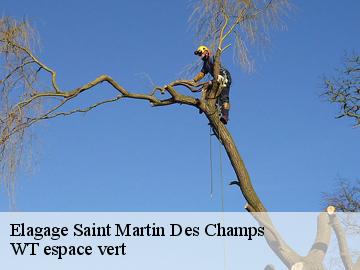 Elagage  saint-martin-des-champs-78790 WT espace vert 