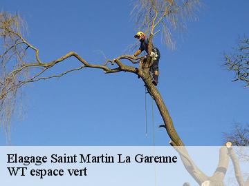 Elagage  saint-martin-la-garenne-78520 WT espace vert 