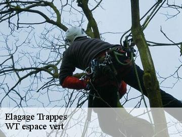 Elagage  trappes-78190 WT espace vert 