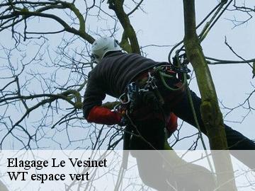 Elagage  le-vesinet-78110 WT espace vert 