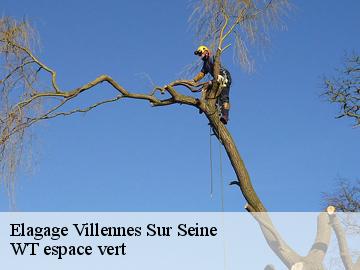 Elagage  villennes-sur-seine-78670 WT espace vert 