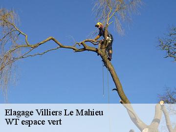 Elagage  villiers-le-mahieu-78770 WT espace vert 