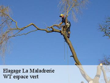 Elagage  la-maladrerie-78300 WT espace vert 