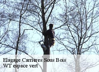 Elagage  carrieres-sous-bois-78600 WT espace vert 