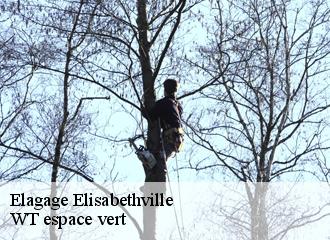 Elagage  elisabethville-78410 WT espace vert 