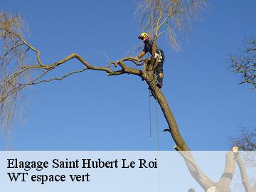 Elagage  saint-hubert-le-roi-78690 WT espace vert 